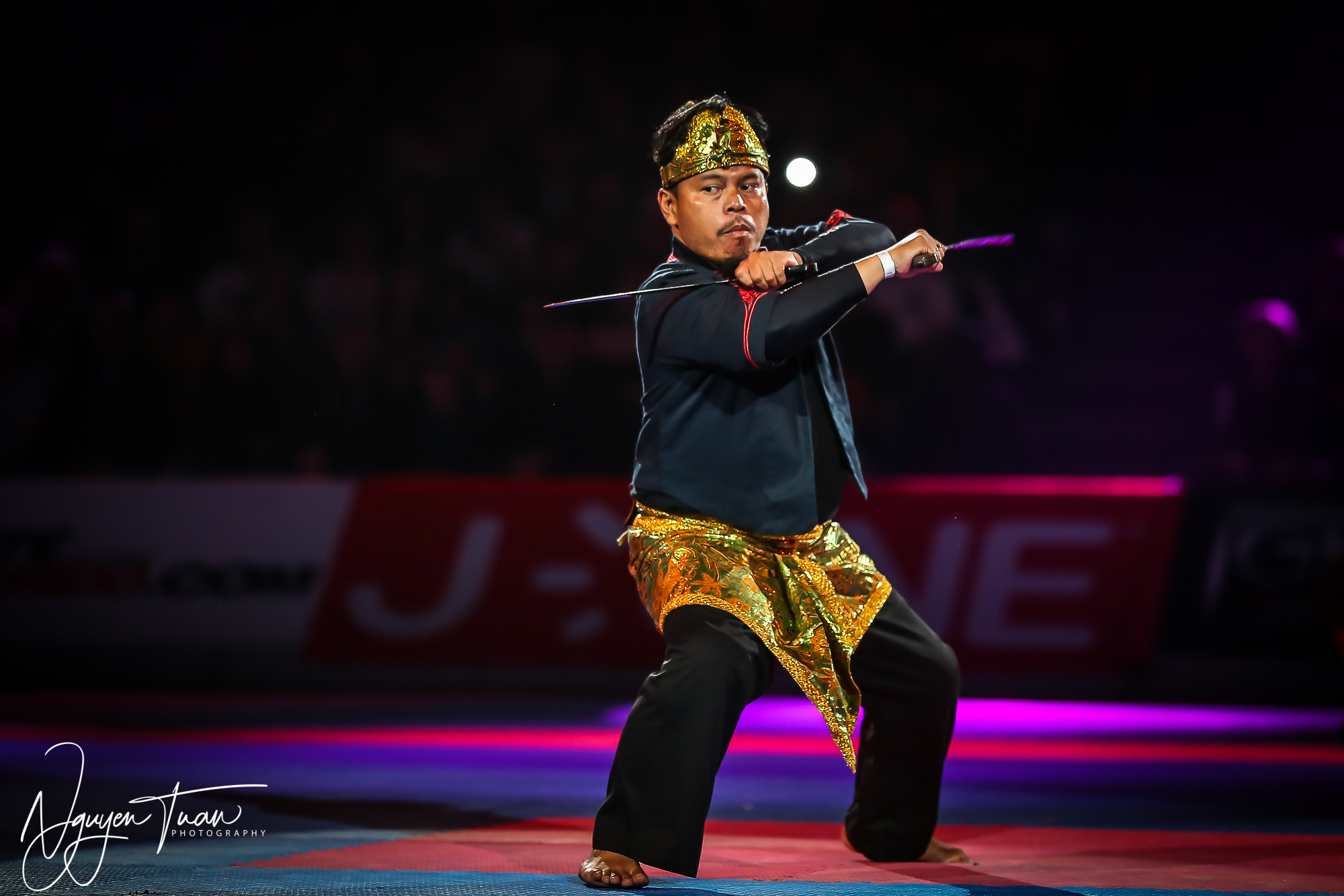 20190324 Festival des Arts Martiaux 4035